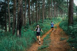 BIB: 
                            <button type="button" onclick="openModal(25666333)" class="btn btn-primary btn-sm float-right btn-popup" data-toggle="modal" data-target=".modal-high-quality">
                        <i class="fas fa-shopping-cart"></i> Add to Cart
                    </button>
                                            <button type="button" onclick="isThisMe(25666333, true)" class="btn btn-success btn-sm float-right btn-popup btn-isme hidden" data-toggle="tooltip" data-placement="bottom" title="นี่คือรูปของคุณใช่ไหม คลิกที่นี่เพื่อเอาเข้าอัลบั้ม">
                        <i class="fas fa-plus"></i> Add to album
                    </button>
                    <button type="button" onclick="isThisMe(25666333, false)" class="btn btn-warning btn-sm float-right btn-popup btn-isnotme hidden">
                        <i class="fas fa-ban"></i> Remove from album
                    </button>